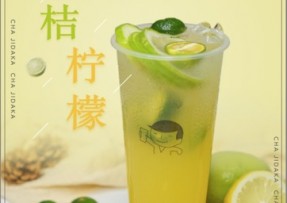 海星直播：金桔柠檬